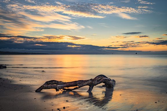 Driftwood Sunrise 